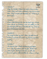 The Diary Page found in the nest of the giant bird in sector F19.